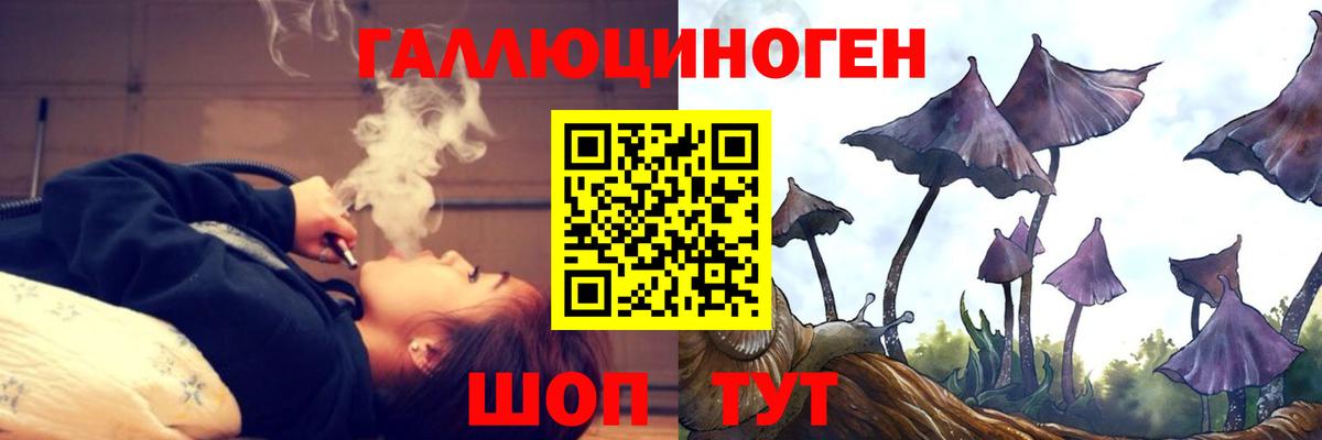 Псилоцибиновые грибы Psilocybine cubensis Зеленокумск